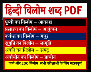 विलोम शब्द 100 PDF