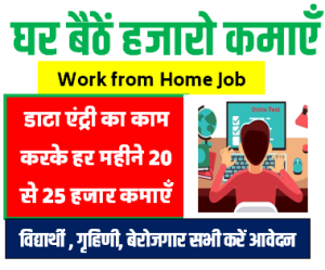 Work From Home : डाटा एंट्री का काम करके हर महीने रु 20000 से रु 25000 कमा सकते है