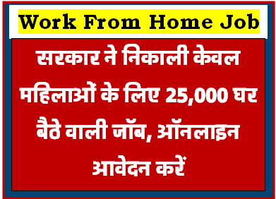 सरकार ने निकाली केवल महिलाओँ के लिए 25000 घर बैठे वाली जॉब आवेदन करें आप जल्दी Govt Work From Home Job