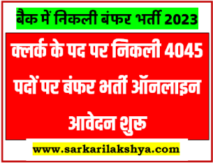 IBPS 4045 Clerk XIII Vacancy Online Form 2023