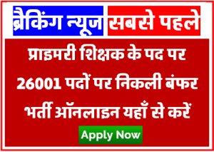 JSSC 26001 Primary Teacher Online Form 2023