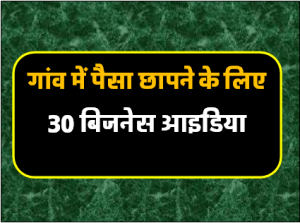 गाँव में पैसा छापने के लिए 30 बिजनेश आइडिया