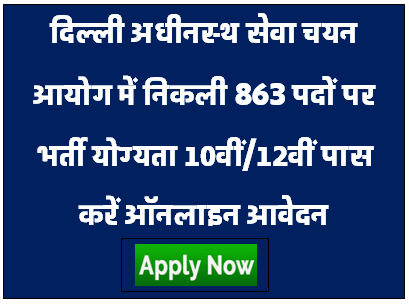 DSSSB Jobs Bharti 2023-sarkarilakshya