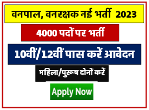 Forest Guard New Vacancy 2023