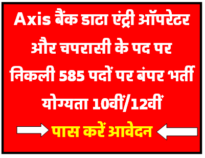 Axis Bank Data Entry Chparasi Bharti 2024