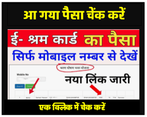 E Shram Card : ई श्रम कार्ड का पैसा अपने मोबाइल फोन में 5 मिनट में चेक करें