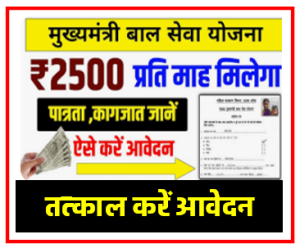 Mukhyamantri BaSeva Yojana 2024 : इन बच्चो को मिलेगे 2500 रु. प्रतिमाह