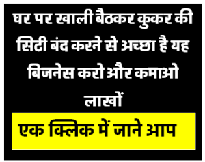 घर पर खाली बैठकर कुकर की सिटी बंद करने से अच्छा है यह बिजनेस करों और कमाओ लाखों रू.