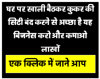 घर पर खाली बैठकर कुकर की सिटी बंद करने से अच्छा है यह बिजनेस करों और कमाओ लाखों रू.