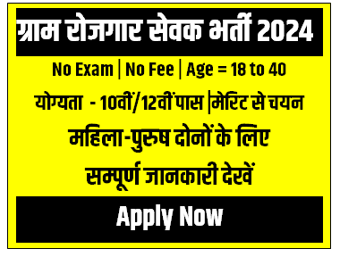 Panchayat Gram Sevak Bharti | पंचायत ग्राम सेवक की 1900 पदों पर निकली सरकारी नौकरी भर्ती