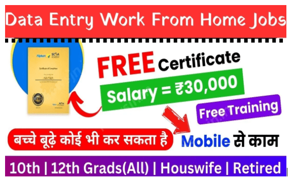 Data Entry Work From Home Job : इन जगहों पर मिल रहा है ऑनलाइन डाटा एंट्री वर्क घर बैठे करे आवेदन