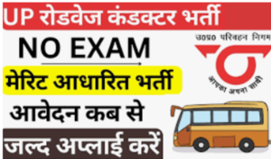State Road Transport Department Bharti 2024 : राज्य सड़क परिवहन विभाग नई भर्ती 2024