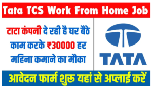 Tata TCS Work From Home Job: Tata company is giving Rs. per month for working from home. Opportunity to earn Rs 30000 every month