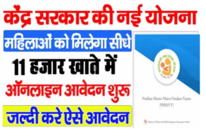 PMMVY योजना के तहत आवेदन करें और पाएं 5000 रु. जानिए ऑनलाइन आवेदन का तरीका How To Apply Online PMMVY Online Apply 2025