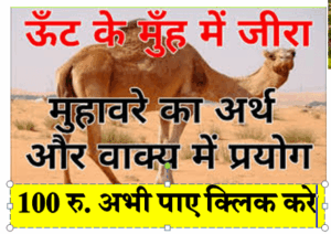 ऊँट के मूह में जीरा मुहाबरे का अर्थ क्या होता है |What is the meaning of the phrase cumin in the mouth of a camel
